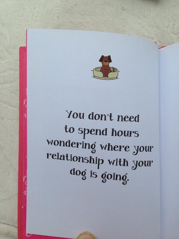mandybagot's tweet photo. Funny book 'the more I see of men... The more I love my dog' Summersdale http://t.co/YgpRoazA6D
