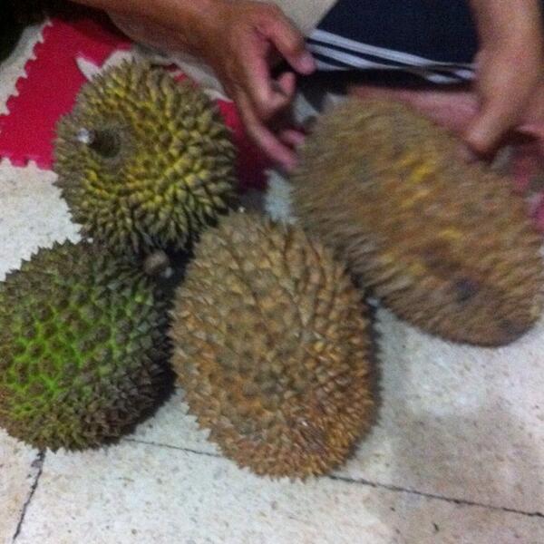 alinsomniaa's tweet photo. Pesta durian @thxca @rizkanhy5 @Laily2102 @IlhamHW http://t.co/FhXzBPmgOc