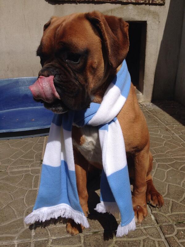 Colin167's tweet photo. Go City http://t.co/BoC0Evh1cQ