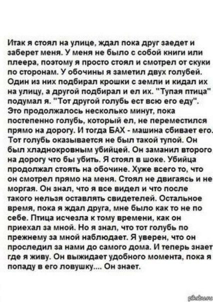текст песни я в моменте. цитаты великих писателей о любви. паранойя. что такое паранойя простыми словами. апатия смешные картинки.