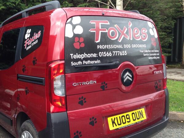 Tavy Signs tweet media