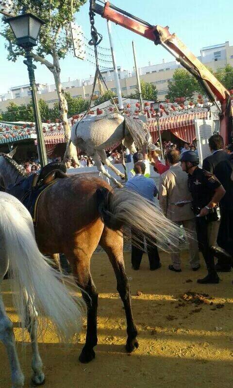 La cara B de la feria BnWPS2ACUAA9rsC