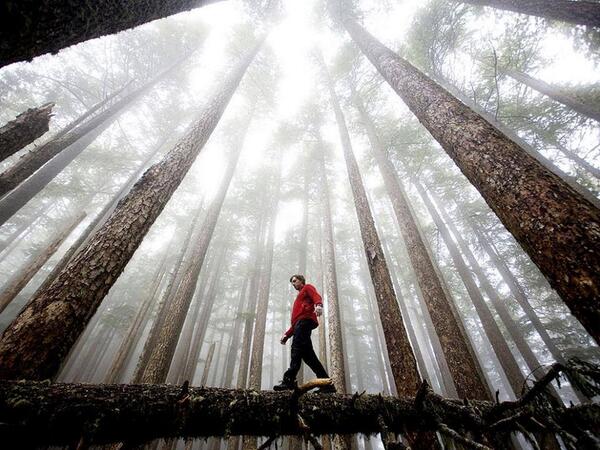 Gabriele_Corno tweet picture