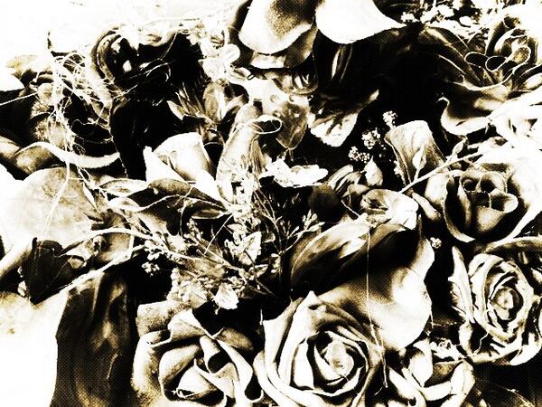 <a href="/AnyaAlexandria/">rafarodriguezve</a> <a href="/paulweaverphoto/">paul weaver</a> <a href="/sukimilesmua/">Suki Miles</a> It seems that these past harbouring an illusion #misshaversham