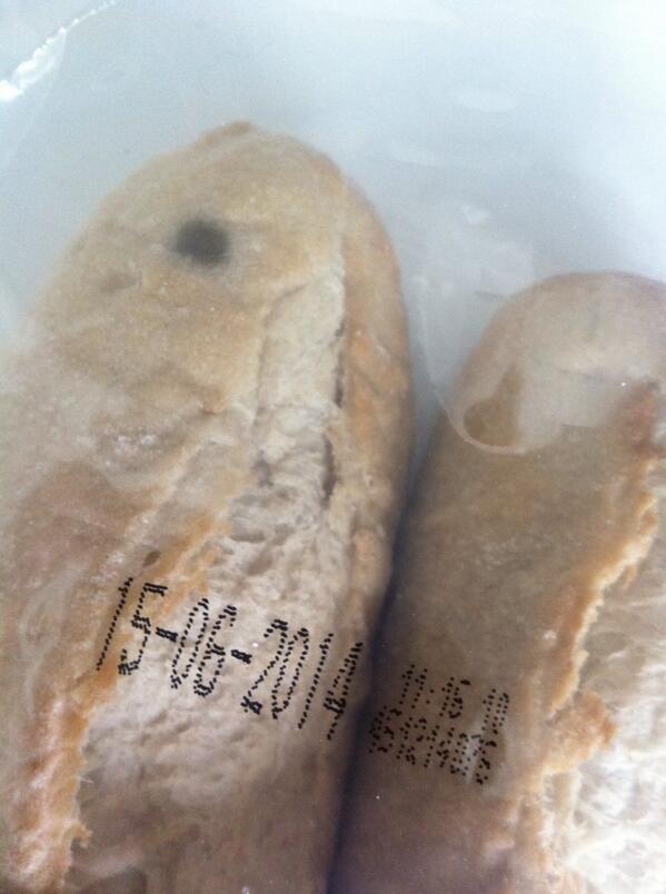 Didi Willems tweet media