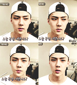 FillJen's tweet image. a