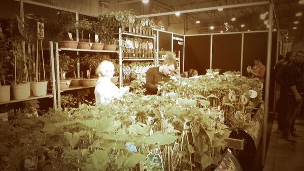 Sjors Boers tweet media