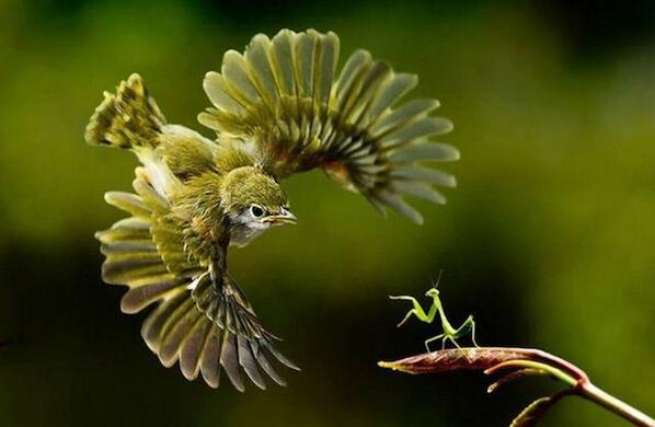 WakeupPeopIe's tweet photo. http://t.co/VqpsZRV3mh