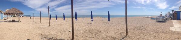 Ilaria Tarquinio (@gattinaila) on Twitter photo 