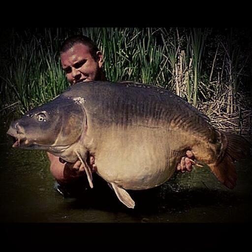Here's Jon Constantinou 70 lb plus mirror caught along with a 68 lb ,a 60 lb plus all his fish on my M-25 pro boilies