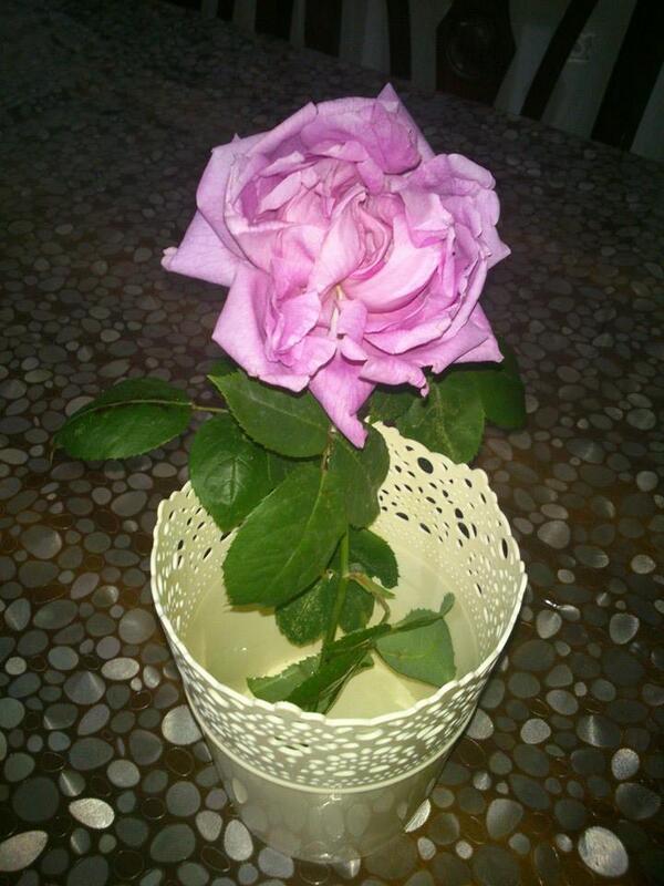 reeneudt's tweet photo. @ozyurtlargrup #AnnemeEnÖzelHediye torununun mnik elleriyle toplayıp getirdiği yanağından öperek verdiği güldür :) http://t.co/ADKwRgfmvg