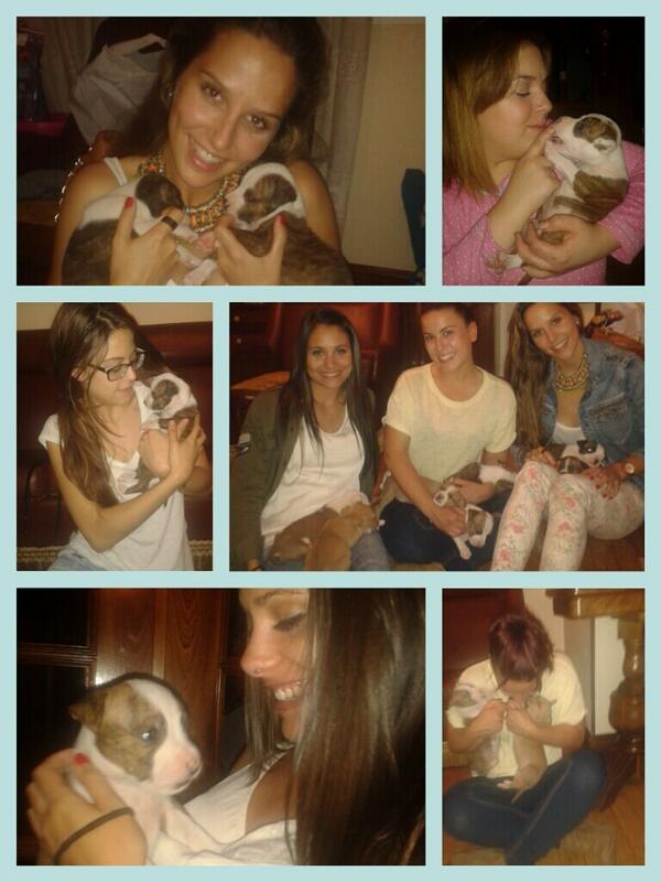 Anetxu282's tweet photo. Menudas preciosidades!! http://t.co/6MC9aiVGIQ