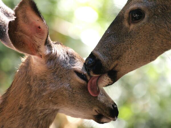 LealKurt's tweet photo. Mother's Day. http://t.co/9ORMxEz12n