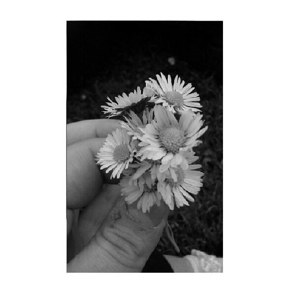 eurghhhhh's tweet image. every pretty thing dies