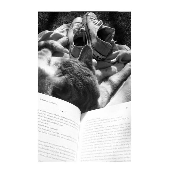 eurghhhhh's tweet image. sorry for the spam