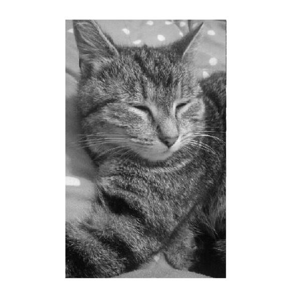 eurghhhhh's tweet image. princessssss