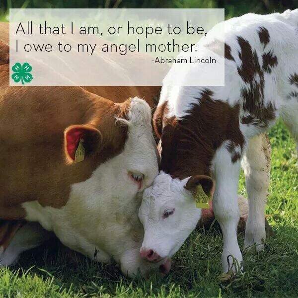 Dairy Tweets® tweet media