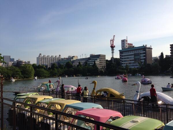 zacksabrejr's tweet image. Tokyo in spring time. Unreal.