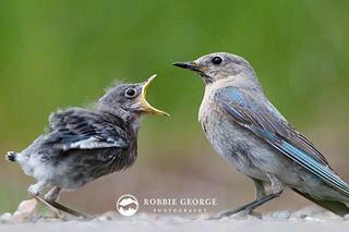 Kadek marley (@_adiwirawan_) on Twitter photo 