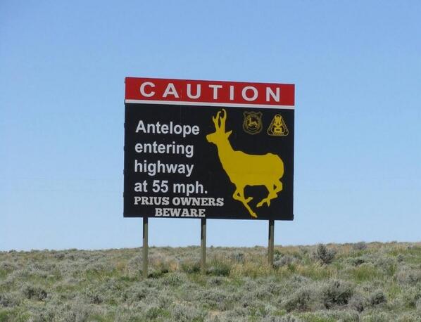 PolitiBunny's tweet photo. Meanwhile along a Wyoming highway... http://t.co/JbL78WjZ43