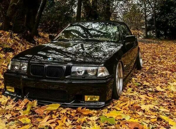 mariniordanov's tweet image. Pantera #m3Power