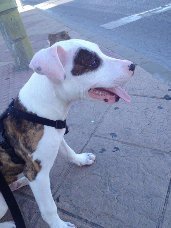 eliasluquee's tweet photo. Que calor! http://t.co/uoaI7Depim
