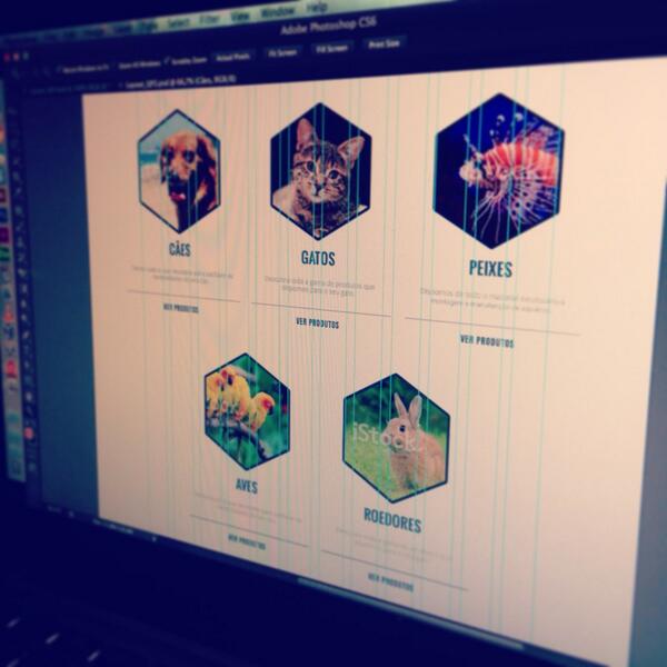 The layout for Quarteirapet, a pet shop, is complete! #weareive #design #web #website #development #html5 #css3