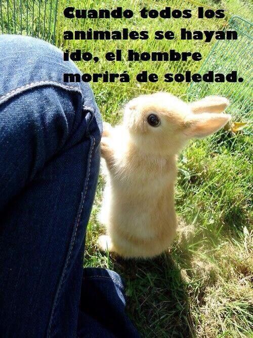 AnimalPlanetPic's tweet photo. “Cuando todos los animales se hayan ido, el hombre morirá de soledad”. http://t.co/lu9qbQea3a