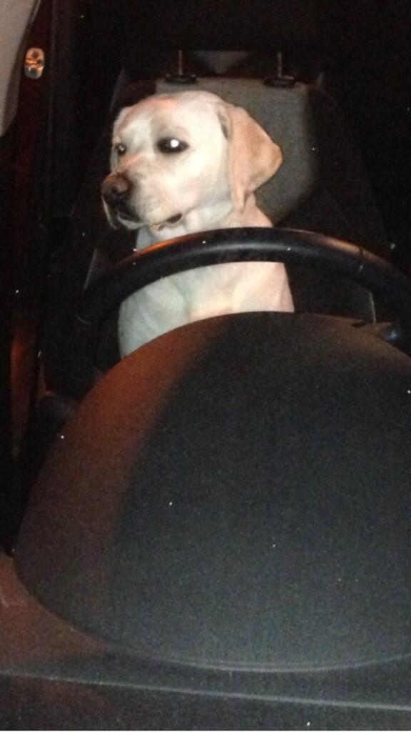emmacook95's tweet photo. “@kevinbridges86: Be wary of illegal minicab drivers.. http://t.co/SqoZTJQJTu” @sarah3952