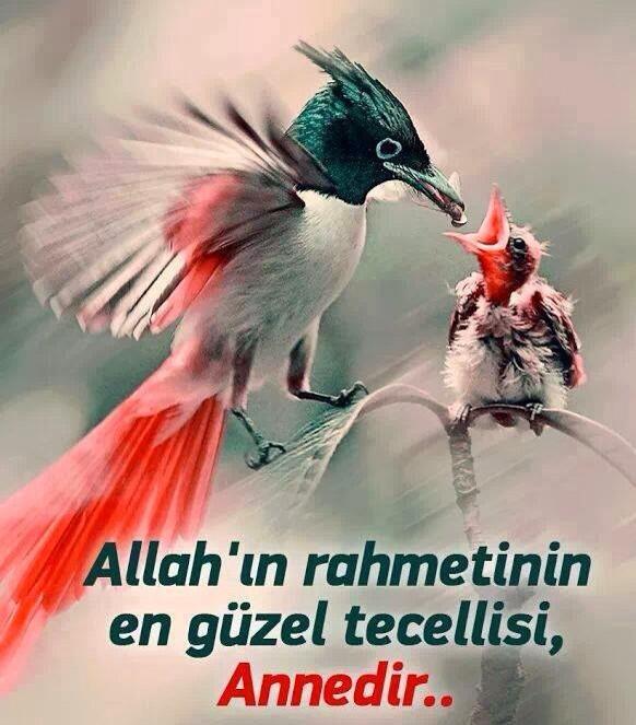 VeyselEroglu's tweet photo. http://t.co/rmLbedpllL