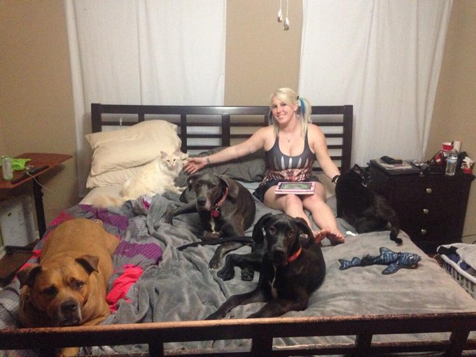 Omg. They all looked at the camera! Lol! Perfect harmony with my 5 fur babies! http://t.co/rcnhfrjSQ<a href="/tag/manyvids"class="tags"><span>#manyvids</span></a><a href="/tag/mvsales"class="tags"><span>#mvsales</span></a>