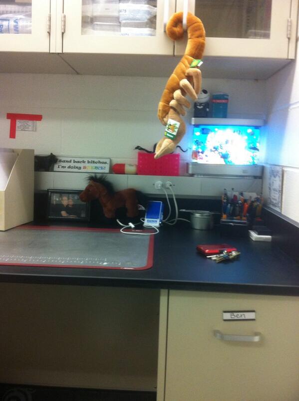 Toxic_Lemur's tweet image. My new desk has so much space! #LabUpgrade #HappyLabRat