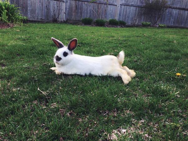 oreothabunny's tweet photo. http://t.co/SkASTIn41Y
