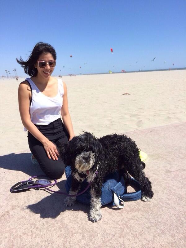 CristinaSilver's tweet photo. Best #dog gone #Sunday with my hubs and the pup! Our #rescuedog had her first off leash beach day 🌊🌺☀️🐶 👏 http://t.co/F1XEa4SJQf