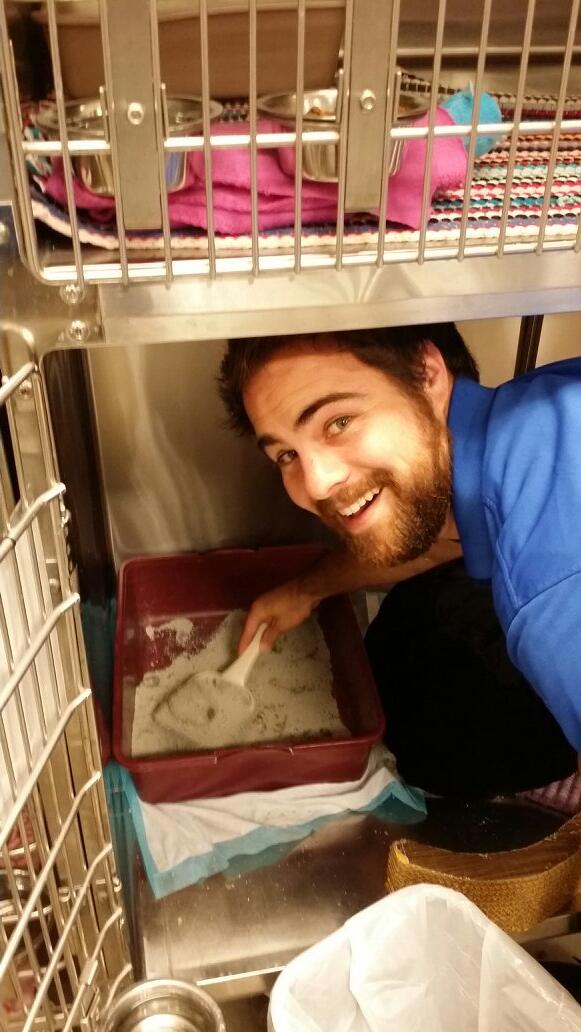 MontgomeryVermi's tweet photo. #inspiredbypets #petsmart97 cleaning hamster bedding inspired me to check on our kitties... http://t.co/uOcmhOkOWy