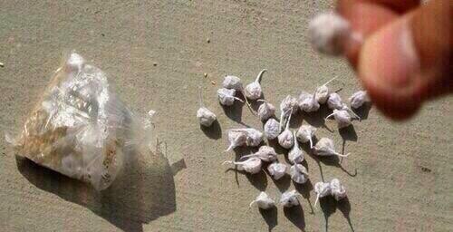 xFour20HD's tweet image. U kno I got dat loud