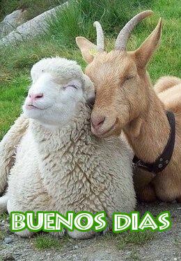 NalaTeam's tweet image. #BuenosDias!! No hay mejor manera para empezar la semana que con una gran sonrisa!! ;-)