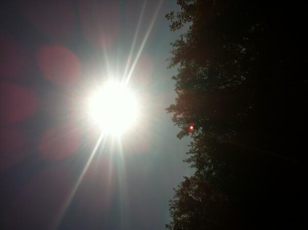 Beautiful day in the Sussex countryside