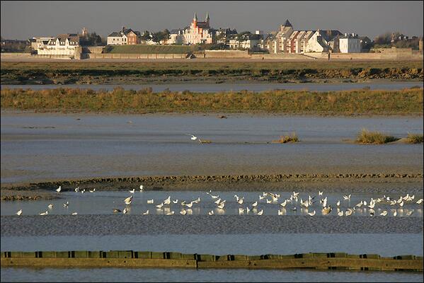Sample_France's tweet photo. #France #Baie #Somme #Picardy #Picardie #Seaside #plage #sampleoffrance http://t.co/hyRBvsb41i