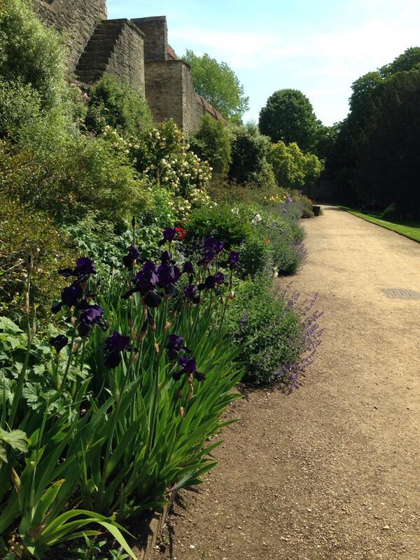 OuterspaceGc's tweet image. Not a bad day for #horticulture