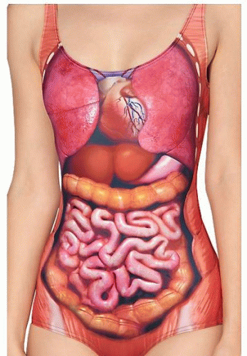 TheAnswerSAS's tweet photo. Este traje de baño con agallas muestra tus entrañas..[http://t.co/SiXWajUyCY] http://t.co/sZeH9no5kM