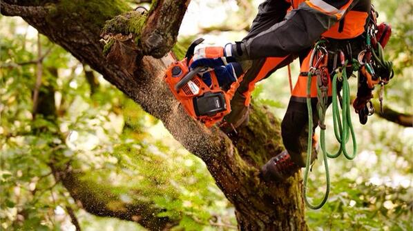 WayneHurrell's tweet image. #For all you Professional tree loppers, try a husky. The right job, deserves the right equipment.