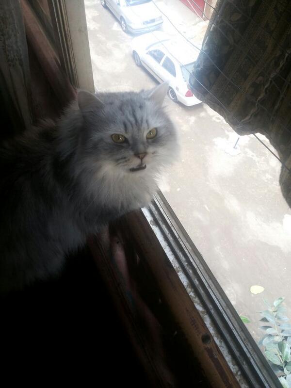 ouka9493's tweet photo. استاذ بوتشى بيتفرج على خلق الله http://t.co/8w9SMCgabP
