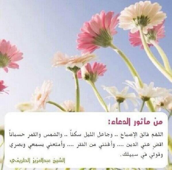 (فائدة)

اللهم فالق الإصباح ..
للشيخ عبدالعزيز الطريفي

#تغريدات_الطريفي
(<a href="/abdulaziztarefe/">عبدالعزيز الطريفي</a>)