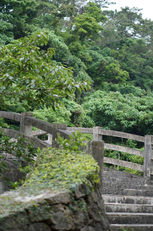 QGerra's tweet photo. 浦添大公園2 http://t.co/tBXPq9BSdP
