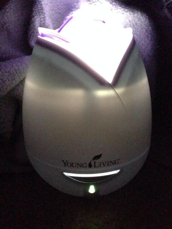 Konstanza Rolas tweet media