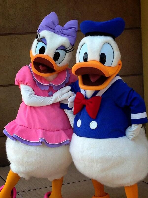 デイジー好きな人rt