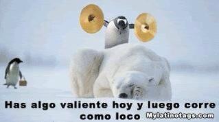 beguerrero's tweet photo. Jajajajajajaj http://t.co/i44MXI5g9b