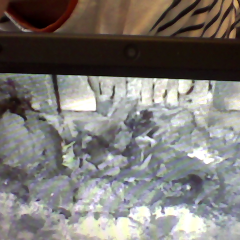 Police Nationale  tweet media