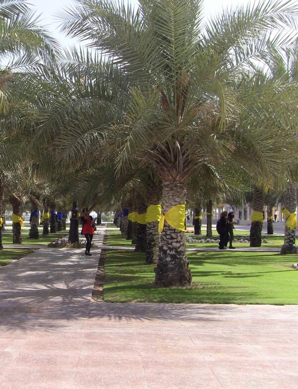 enewsmcmsocial's tweet photo. RT @SalmaEssamAm: "Yes" team add that extra touch to the Palm trees with their yellow ribbons. @enewsmcmsocial  http://t.co/z4TCA5VzfR